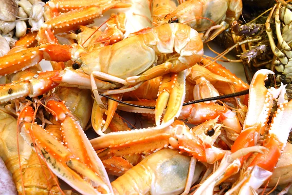 Fresh Crayfish — Stock Photo, Image