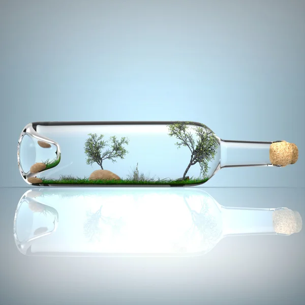 Bir şişe içinde ağaç — Stok fotoğraf