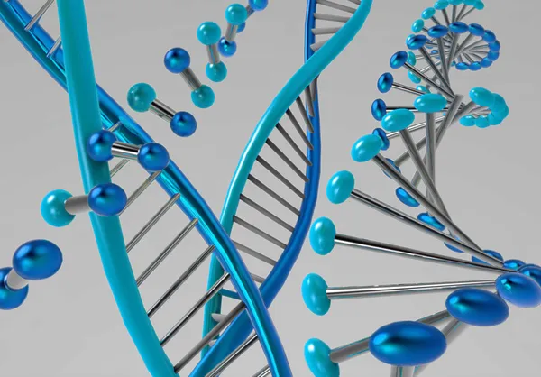 Moléculas de ADN Fotografias De Stock Royalty-Free