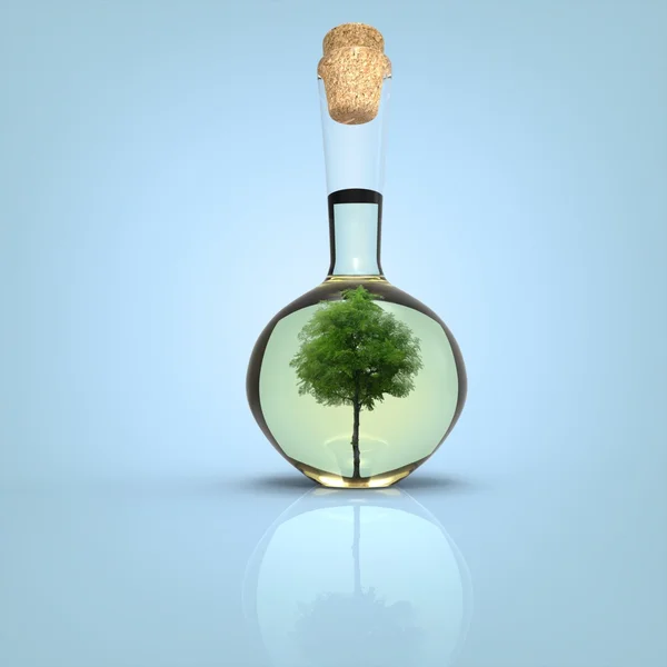 Baum in der Flasche — Stockfoto