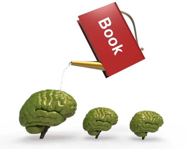 Llovizna con libro cerebral —  Fotos de Stock