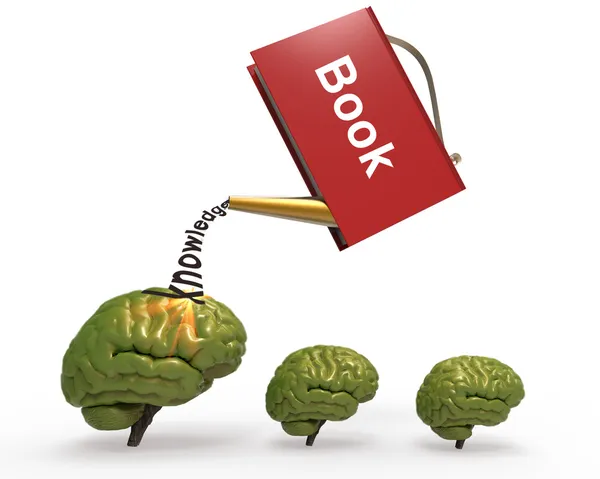 Llovizna con libro cerebral —  Fotos de Stock