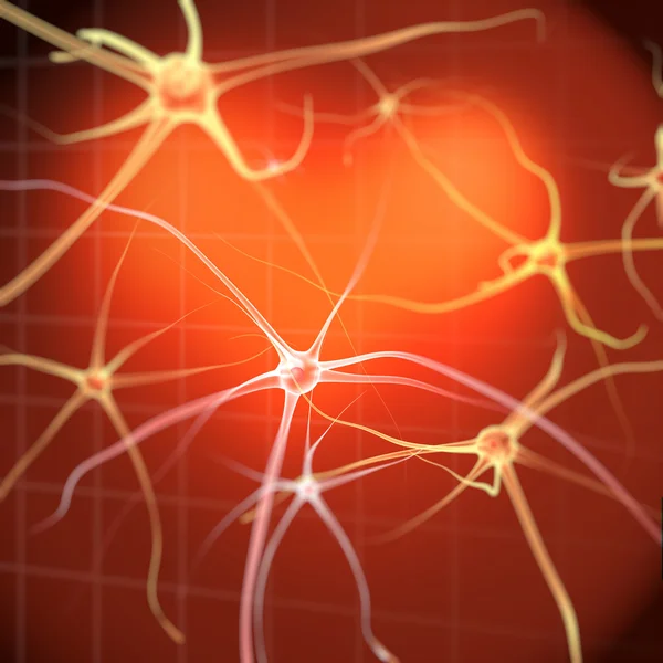 Nerve Cells Stock Image