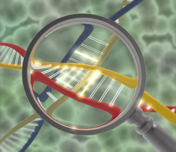 Dna with magnifying lens Stock Picture