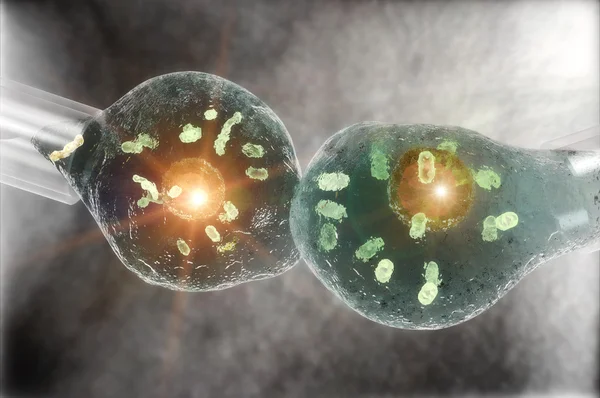 Komórki, klonowanie — Zdjęcie stockowe