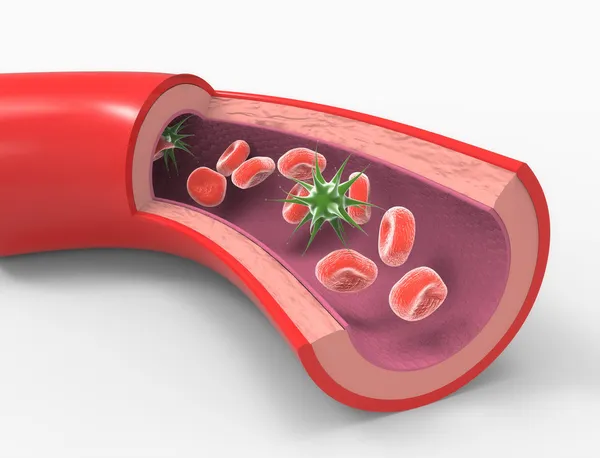 Arteria con virus — Foto Stock