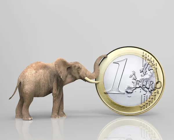 大象与欧元硬币 — 图库照片