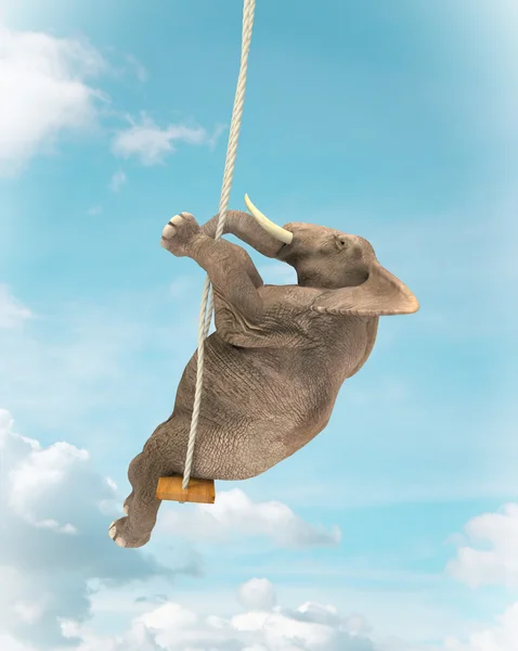 Elefante em um balanço — Fotografia de Stock