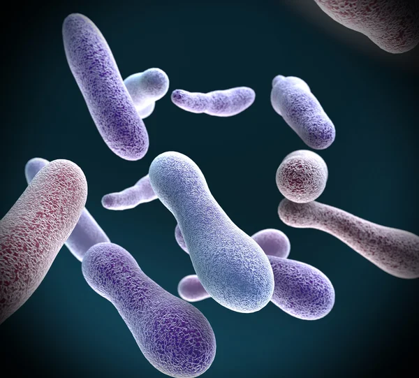 Bacteria — Stock Photo, Image