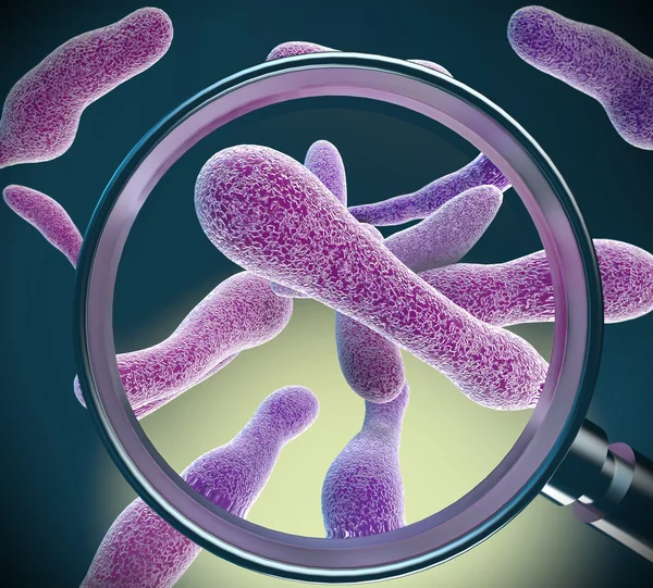 Büyüteç tarafından görülen bakteriler — Stok fotoğraf