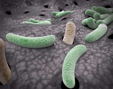 Bacteria Microscopic View clipart