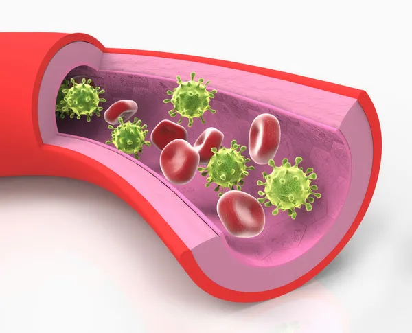독감 바이러스와 세포 — 스톡 사진