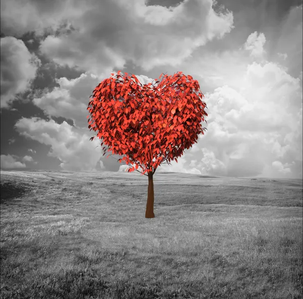 Heart shaped tree — Stock Photo, Image