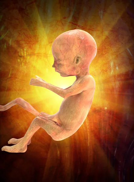 Ultrassom de um feto — Fotografia de Stock