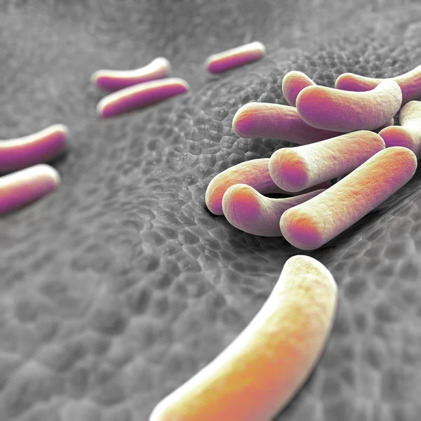 Microscopic view of bacteria — Stock Photo, Image
