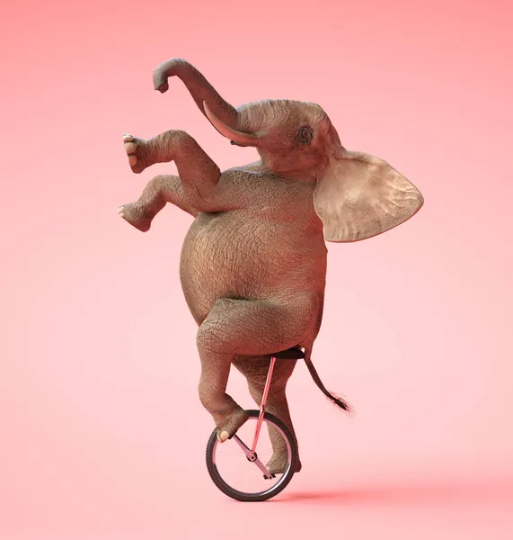 Éléphant Afrique Balançant Sur Monocycle Illustration — Photo