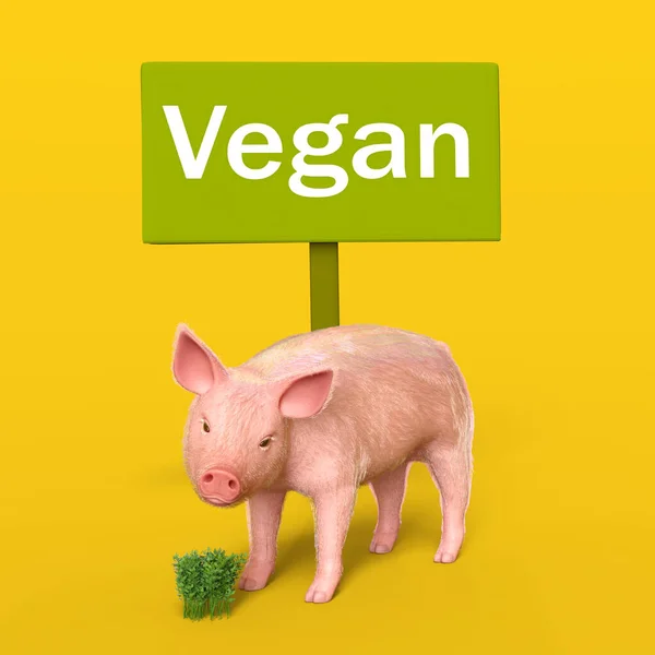 Schwein Und Haltungsschild Mit Text Veganer Gelber Hintergrund Illustration — Stockfoto