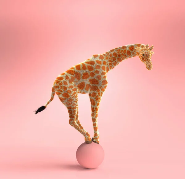 Jirafa Balanceándose Sobre Una Bola Rosa Ilustración —  Fotos de Stock