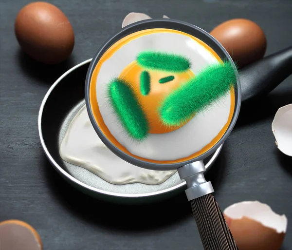 Έννοια Των Βακτηρίων Στο Αυγό Και Μεγεθύνεται Από Μια Φλεγμονή — Φωτογραφία Αρχείου