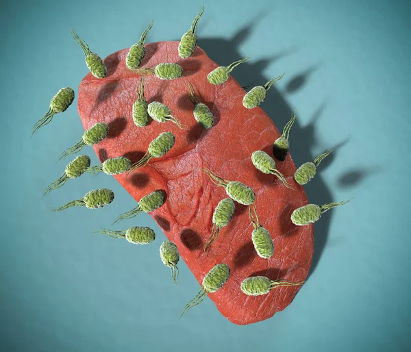 Köttbiff Invaderad Listeria Monocytogenes Bakterier Illustration — Stockfoto