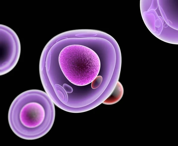 Штучні Клітини Здатні Вживати Обробляти Усувати Органічні Матеріали Візуалізація — стокове фото