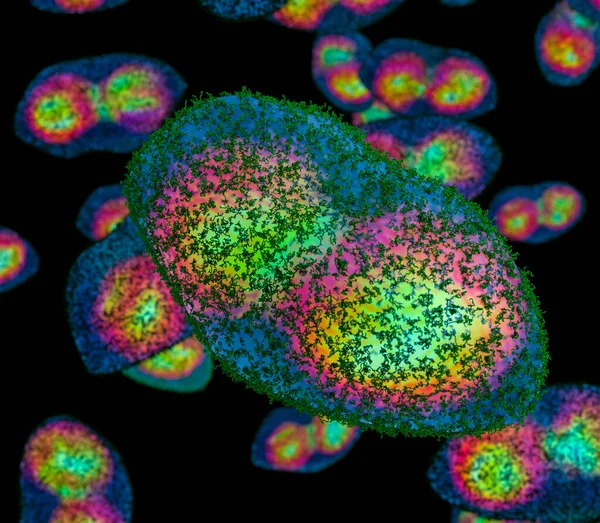 Smittkoppor Ovala Och Har Dubbelsträngat Dna Det Finns Många Typer — Stockfoto