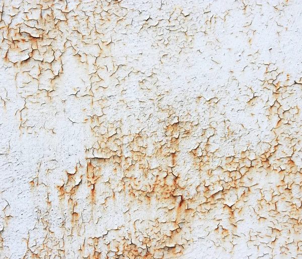 A rusty old metal plate with cracked white gloss paint. Old rust