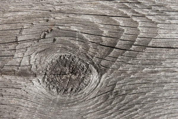 Tavola di legno intemperie. Sfondo in legno con un ramo primo piano — Foto Stock