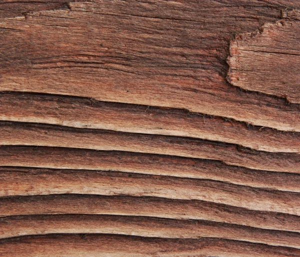 Textura hnědého dřeva. — Stock fotografie