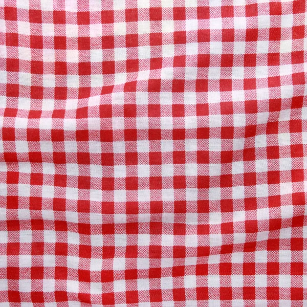 Red and white checkered picnic blanket. — Stock Photo, Image