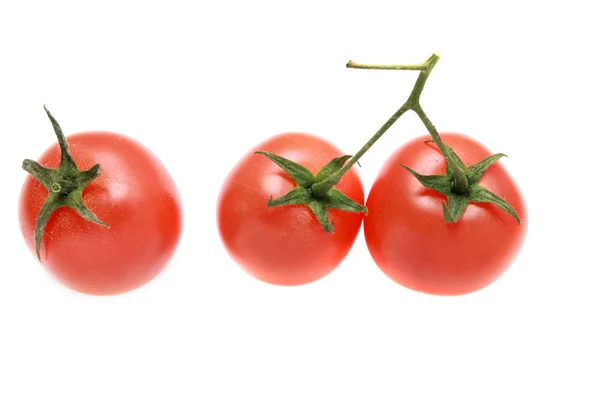 Tre tomater på en gren som isolerade. — Stockfoto