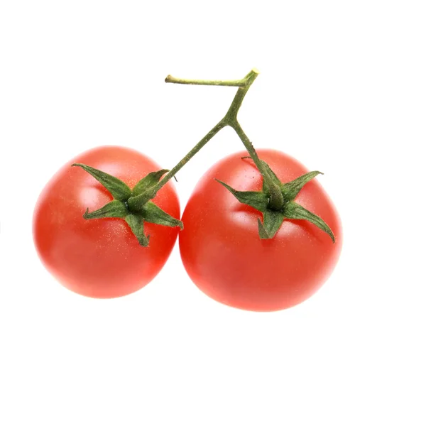 Två tomater på en gren som isolerade. körsbärstomater. — Stockfoto