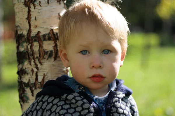 Boy near the birch — Stock Photo, Image