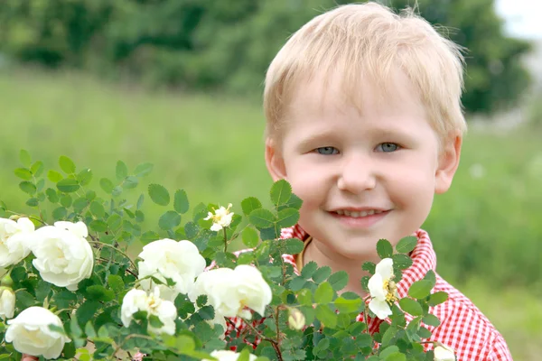 Boy smiles near the flowers — Stock Photo, Image