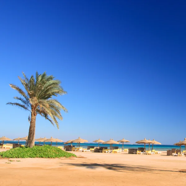 Parasols op het strand — Stockfoto