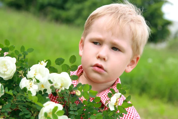 I have an allergy on flowers!!! — Stock Photo, Image
