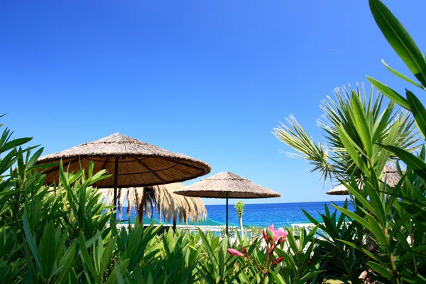 Spiaggia tropicale — Foto Stock