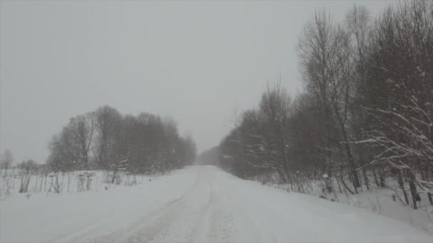 Дорога в красивом зимнем лесу. Свежий падающий белый снег и зимняя дорога. — стоковое видео