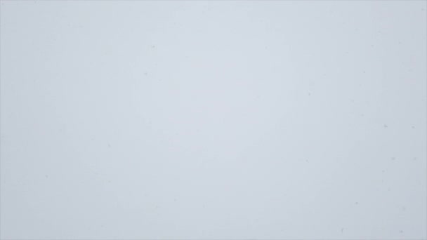 Nahtlose Aufnahmen vom Winterhimmel. — Stockvideo