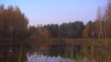 Gün doğumunda orman gölü, durgun su, küçük dalgalar.