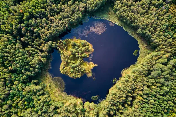 Büyük Bir Tepeden Yeşil Bir Ormanın Ortasındaki Güzel Bir Göle Telifsiz Stok Imajlar