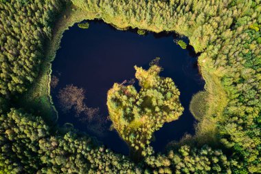 Büyük bir tepeden yeşil bir ormanın ortasındaki güzel bir göle, eski turba madenciliğinin olduğu yerdeki bir göle bir manzara.