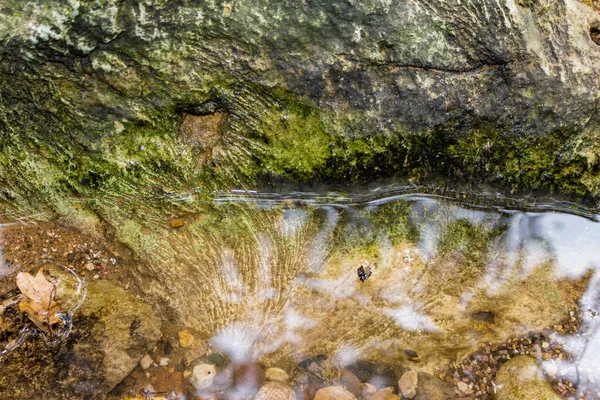 Roccia Calcarea Che Fuoriesce Dall Acqua Pietra Nel Fiume — Foto Stock