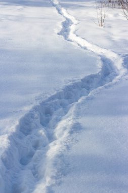 Kışın bir tarlada yağan beyaz karlar arasında iyi bir patika.