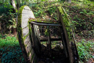 Bir vadide yeşil yosunlarla kaplanmış eski çürük bobin.