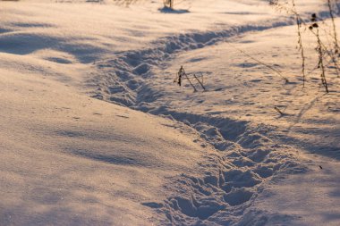 Karla kaplı bir tarlada dövülmüş yol, gün batımında kış manzarası