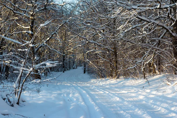 Prachtige Besneeuwde Weg Het Winterbos Een Fantastische Route Bedekt Met — Stockfoto