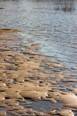 Sel sonrası kumlu nehir kıyısı, sular çekildikten sonra kumlu sahilde su birikintileri