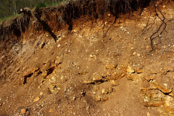 Geological Outcrop Rocks Limestone Emerging Day Surface Layer Soil - Stock-foto