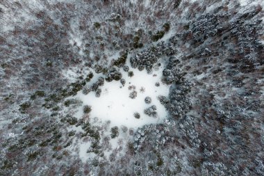 A view from a great height to a snow-covered meadow in a winter forest